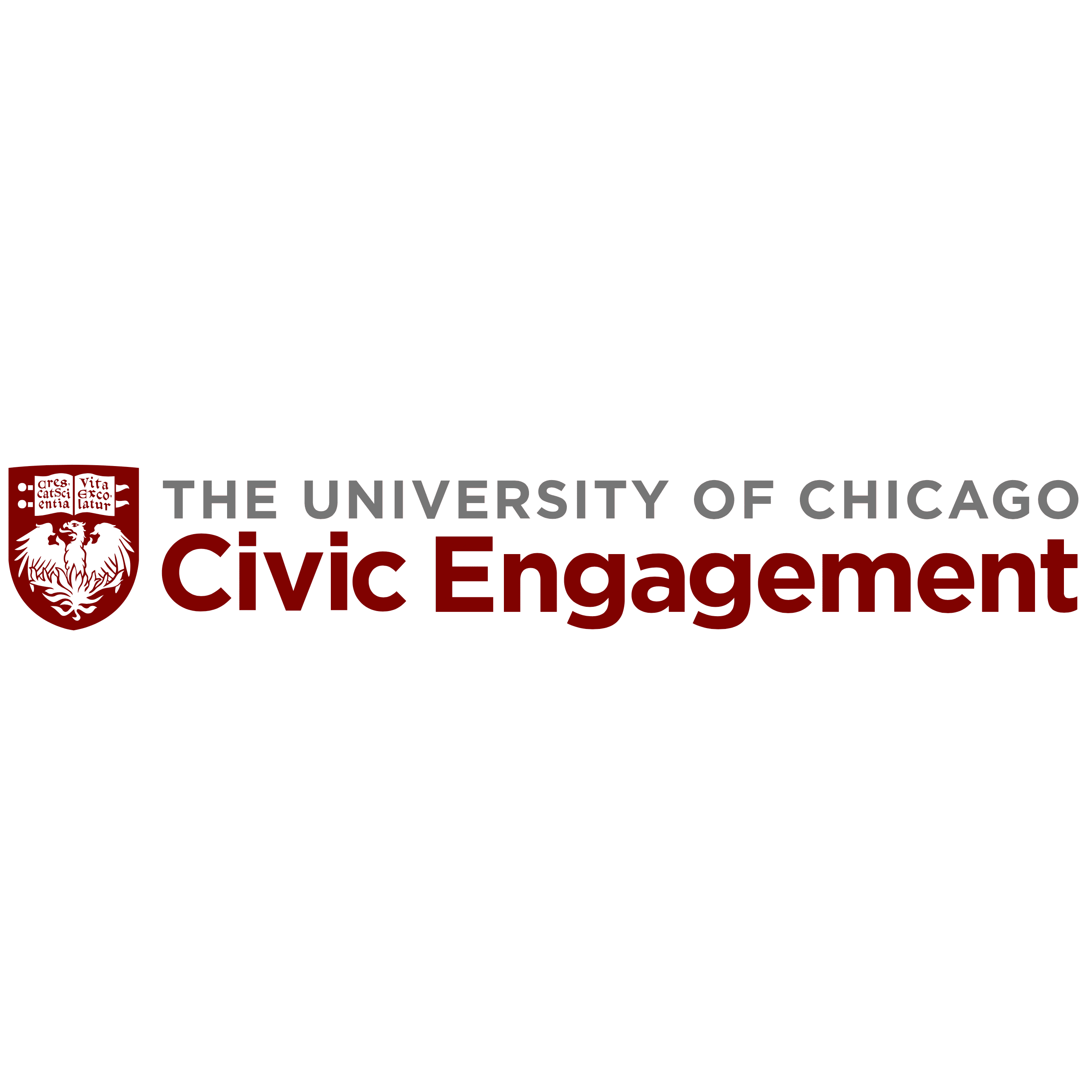 University Of Chicago Civic Engagement - Chicago Cultural Alliance